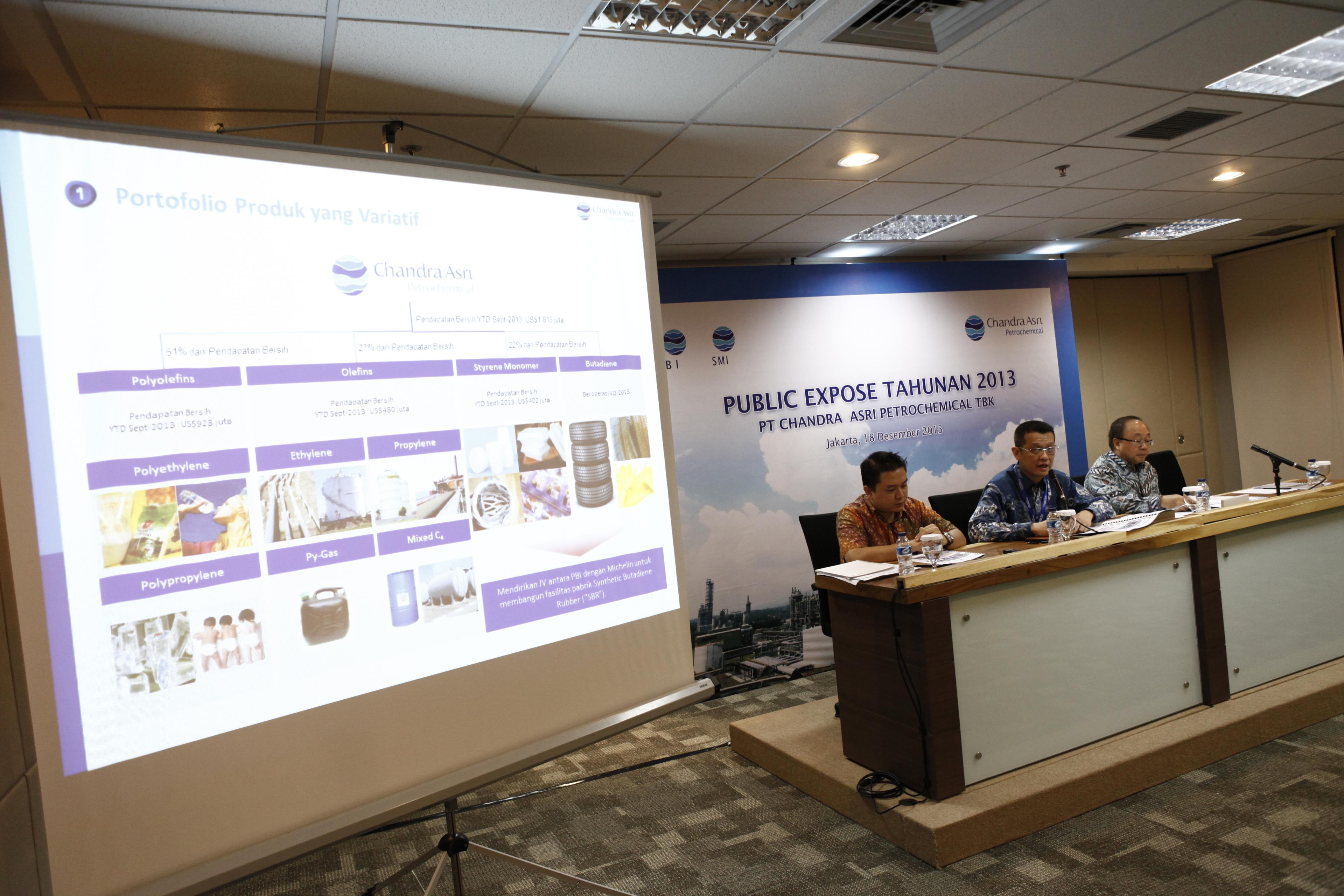 Public Expose Tahunan 2013