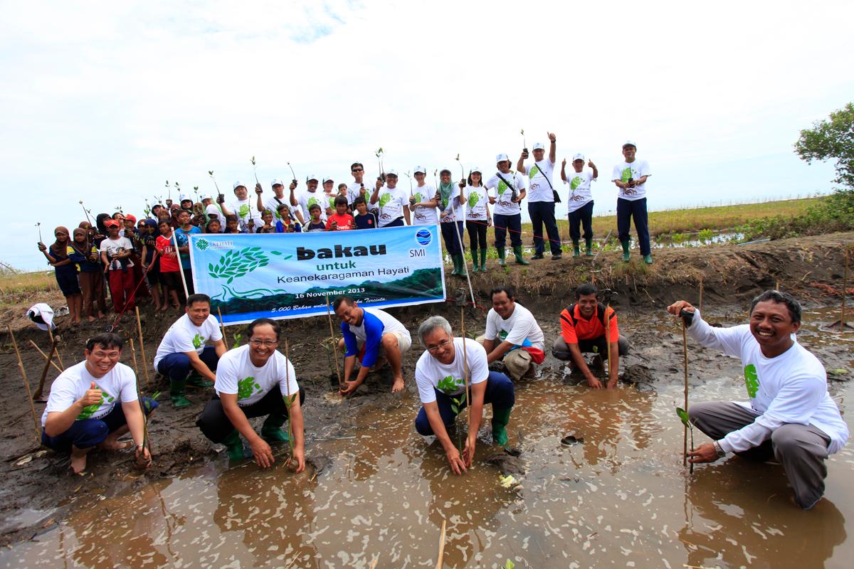 Peringati Hari Bumi Sedunia, CAP Tanam 10.000 Bibit Pohon Mangrove