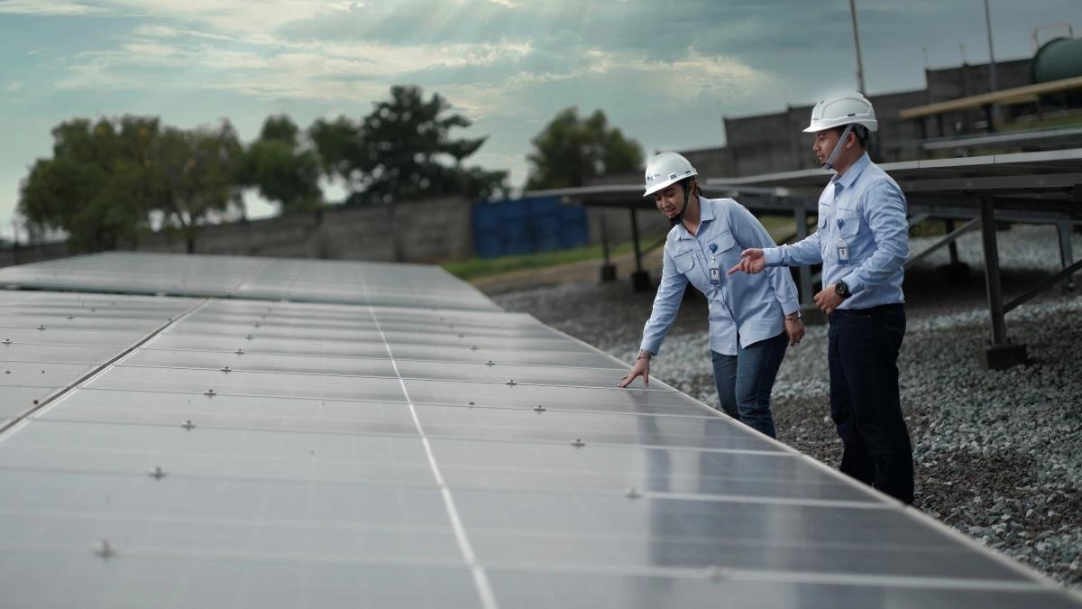 How solar panels work