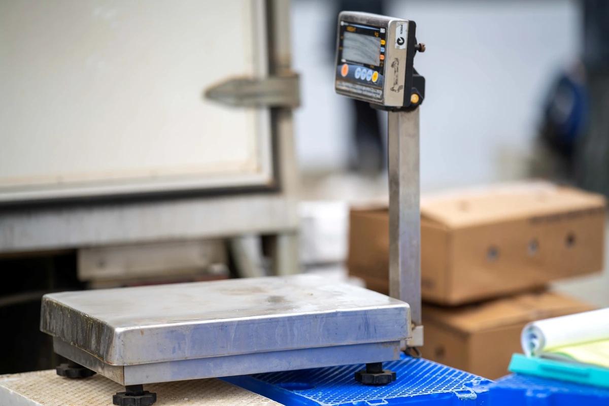 gross weight and net weight