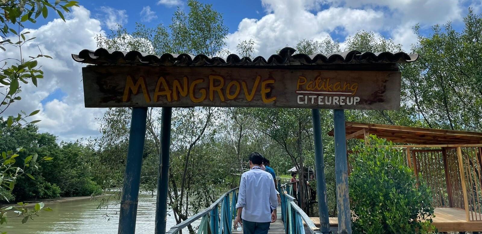 Development of Mangrove Edu-Ecotourism Area at Patikang