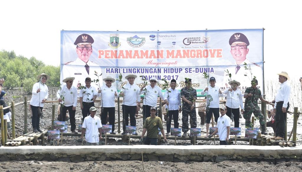 SMI Tanam 10.000 Bibit Mangrove dalam Gerakan Banten Bebersih