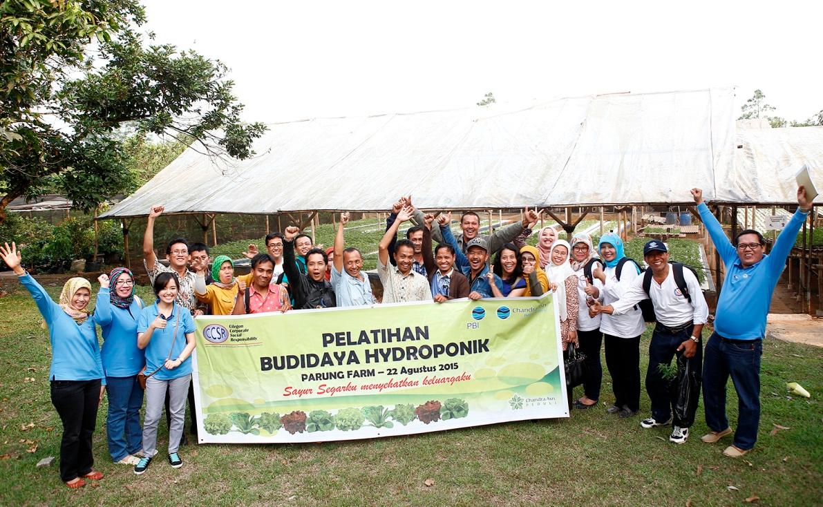 Pelatihan Budidaya Hidroponik