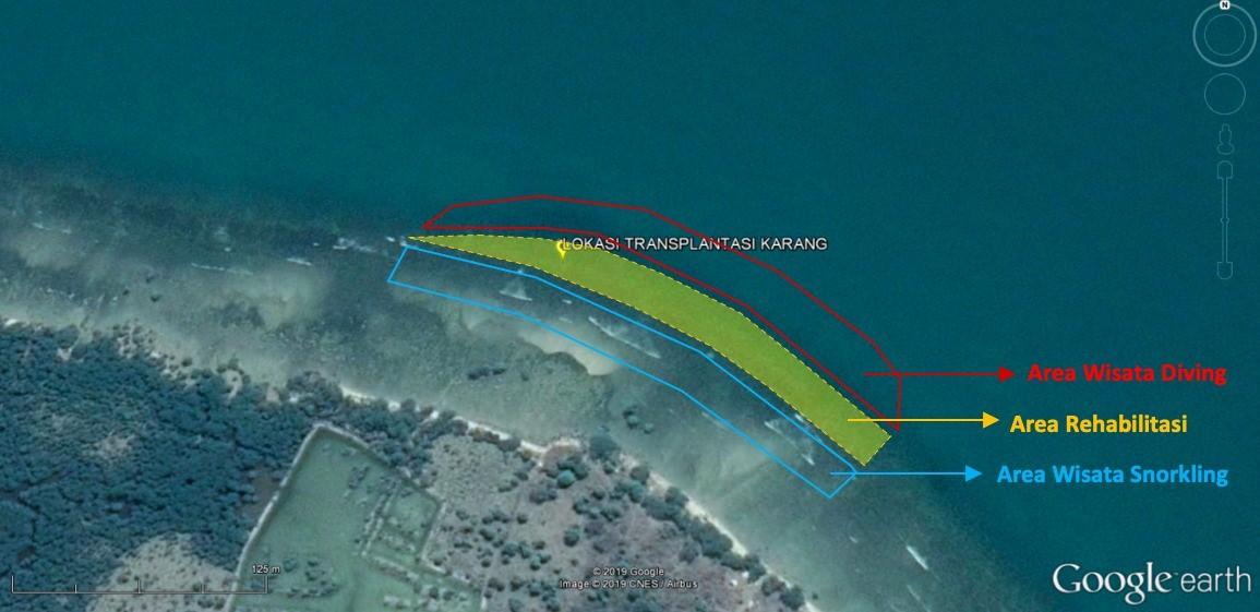 Coral Reef Transplant Program in Banten Bay